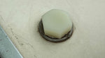 Sunfish Sailboat Deck Plastic Drain Plug Cap, 1971 and earlier vintage